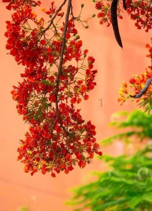 光排管散热器怎么样